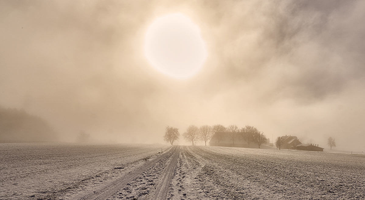 Wintering Pests Blog: Field covered on snow, barn and trees in distance, sun cuts through an overcast day